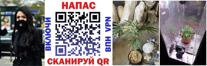 Виды наркотиков купить Динская Марихуана МЕТАМФЕТАМИН ГАШИШ Амфетамин