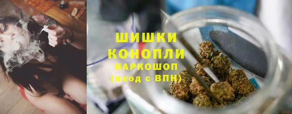 ПСИЛОЦИБИНОВЫЕ ГРИБЫ Аркадак