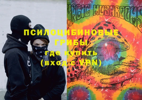 ГАЛЛЮЦИНОГЕННЫЕ ГРИБЫ Арсеньев