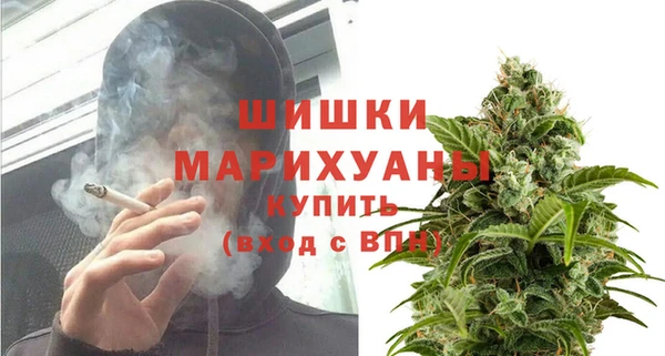 ГАЛЛЮЦИНОГЕННЫЕ ГРИБЫ Арсеньев