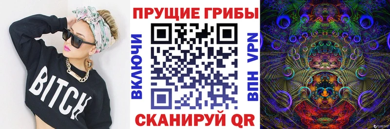 Галлюциногенные грибы GOLDEN TEACHER  Динская 